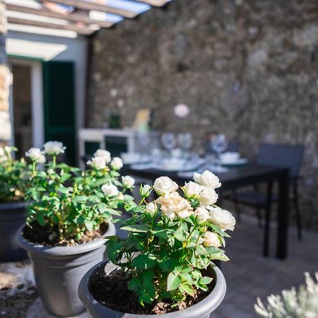 Gardenhouse Sarzana Appartement Buitenkant foto
